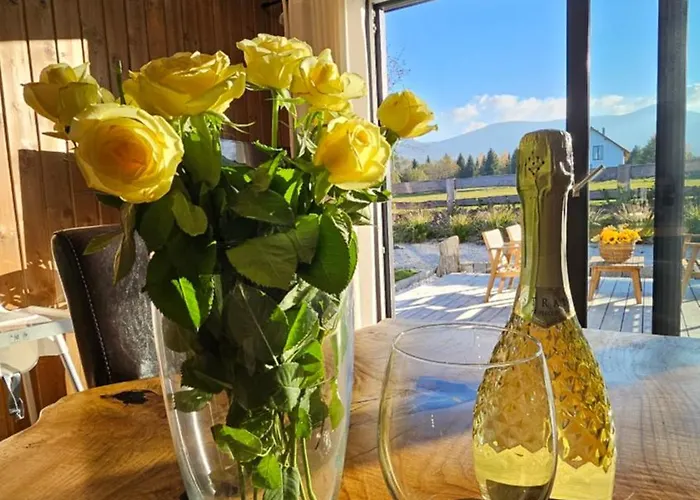 Rest Zone - Mountain